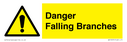 danger-falling-branches~